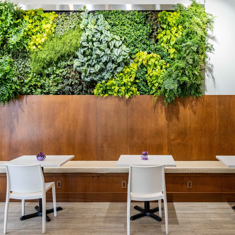 Cafe Crewy's interior features a vibrant green living wall above wooden booth seating and white tables.